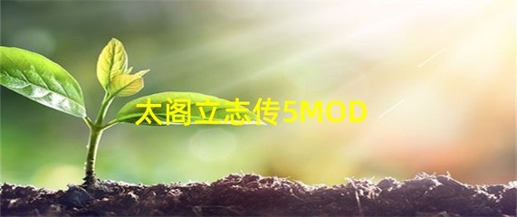 太阁立志传5mod,太阁立志传5mod吧