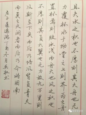 逍遥游,逍遥游游戏