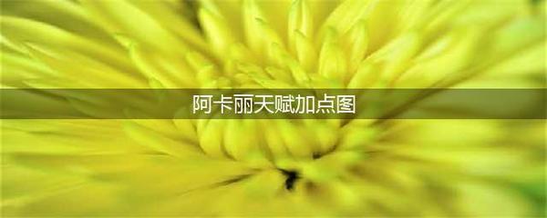 阿卡丽符文s11,阿卡丽符文出装2023