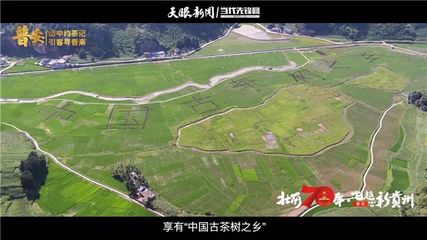 全国约茶app下载,约茶网站