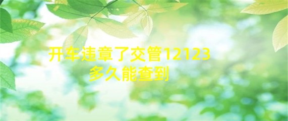 123123违章车辆查询,123123违章车辆查询app下载