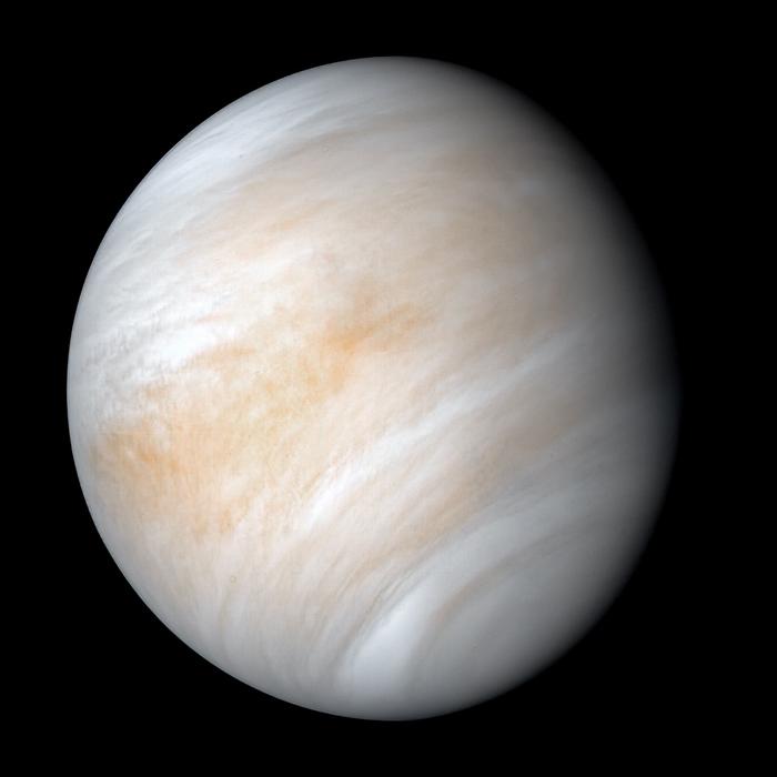 宇宙十大恐怖生物,宇宙十大恐怖生物视频大全