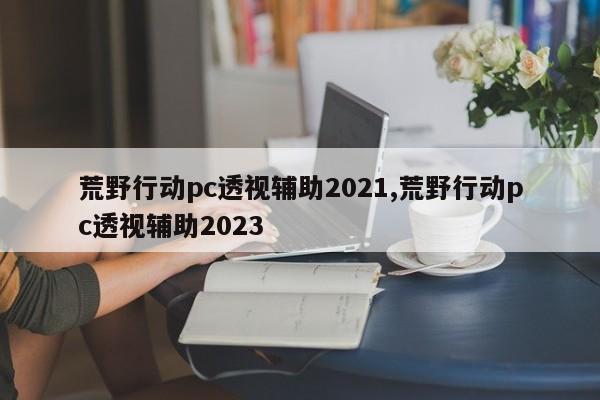 荒野行动pc透视辅助2021,荒野行动pc透视辅助2023