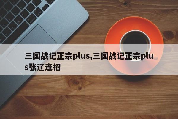 三国战记正宗plus,三国战记正宗plus张辽连招