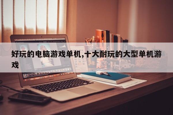 好玩的电脑游戏单机,十大耐玩的大型单机游戏