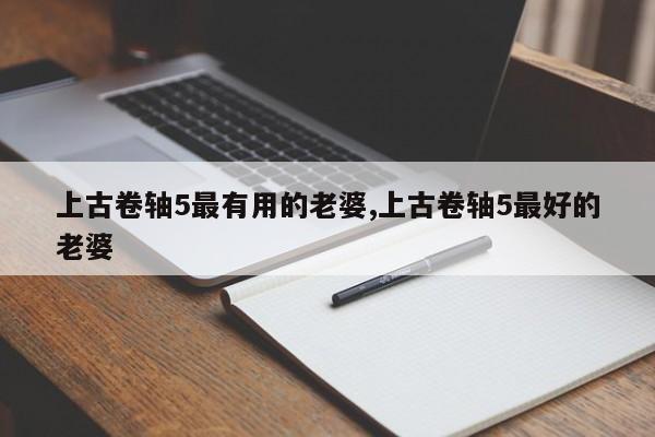 上古卷轴5最有用的老婆,上古卷轴5最好的老婆
