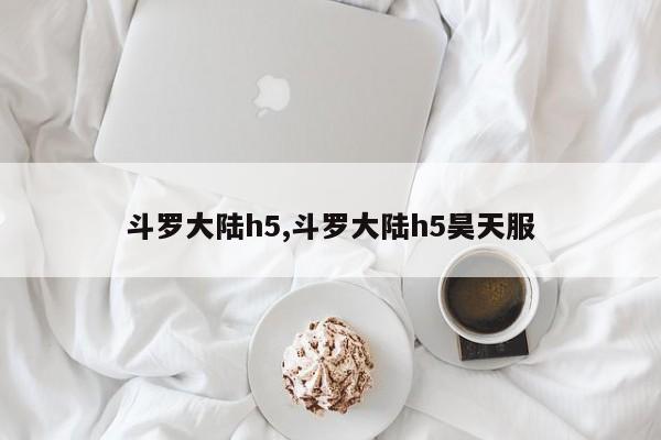 斗罗大陆h5,斗罗大陆h5昊天服