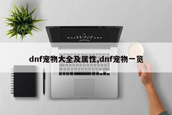 dnf宠物大全及属性,dnf宠物一览