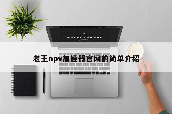 老王npv加速器官网的简单介绍